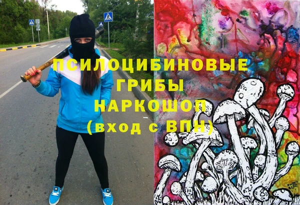 хмурый Зеленокумск