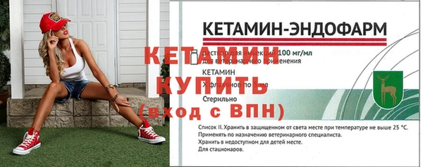 хмурый Зеленокумск