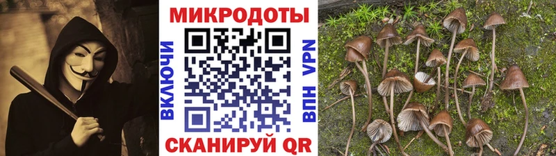 Галлюциногенные грибы MAGIC MUSHROOMS  Купить закладки  Избербаш 