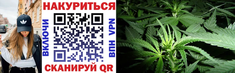 Канабис планчик Купить Избербаш